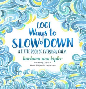 1001 WAYS TO SLOW DOWN - Ann Kipfer Barbara