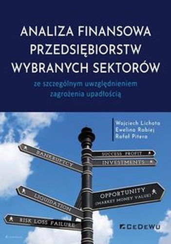 ANALIZA FINANSOWA PRZEDSIĘBIORSTW WYBRANYCH SEKTORÓW - Pitera Rafał