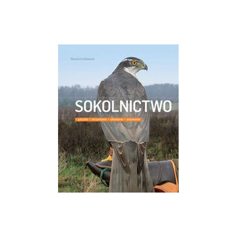 SOKOLNICTWO