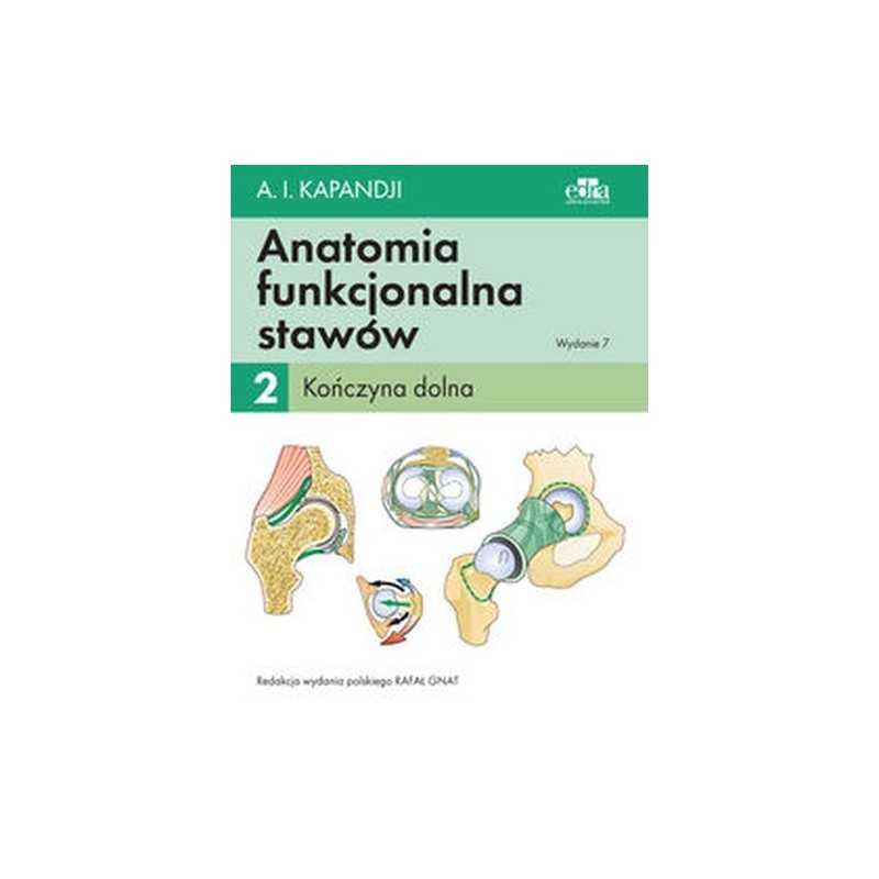 ANATOMIA FUNKCJONALNA STAWÓW TOM 2 KOŃCZYNA DOLNA