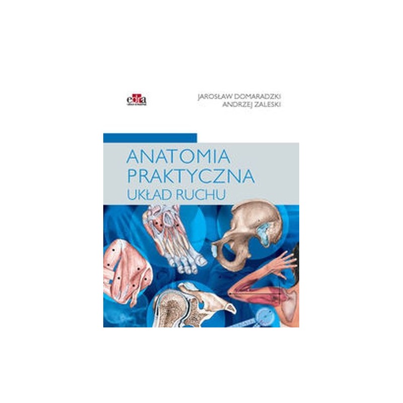 ANATOMIA PRAKTYCZNA UKŁAD RUCHU