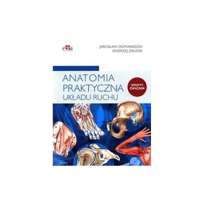 ANATOMIA PRAKTYCZNA UKŁADU RUCHU ĆWICZENIA