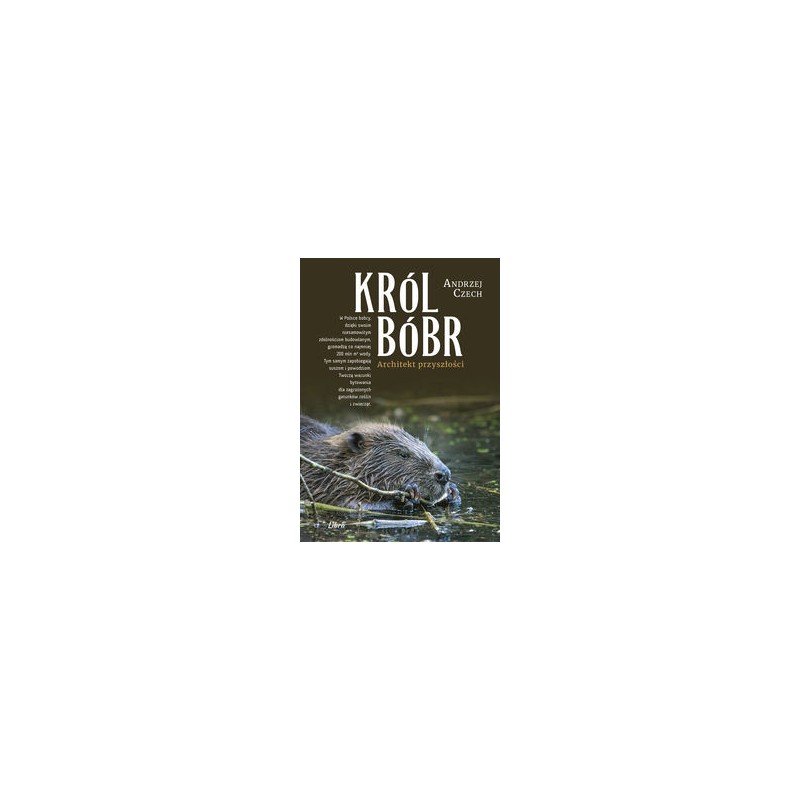 KRÓL BÓBR