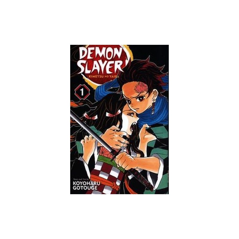 DEMON SLAYER: KIMETSU NO YAIBA, VOL. 1