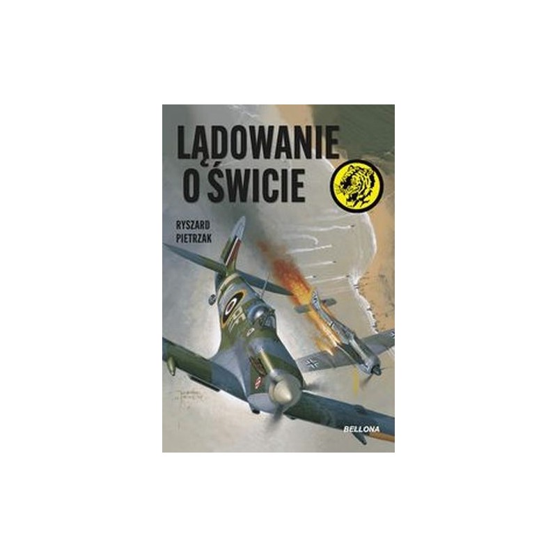 LĄDOWANIE O ŚWICIE