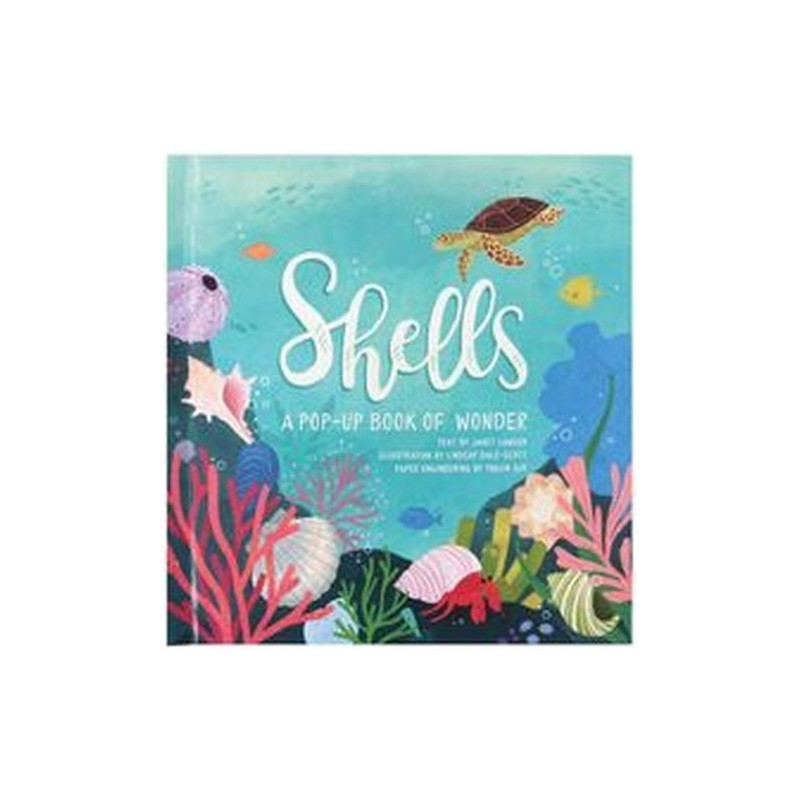 SHELLS A POP-UP BOOK OF WONDER