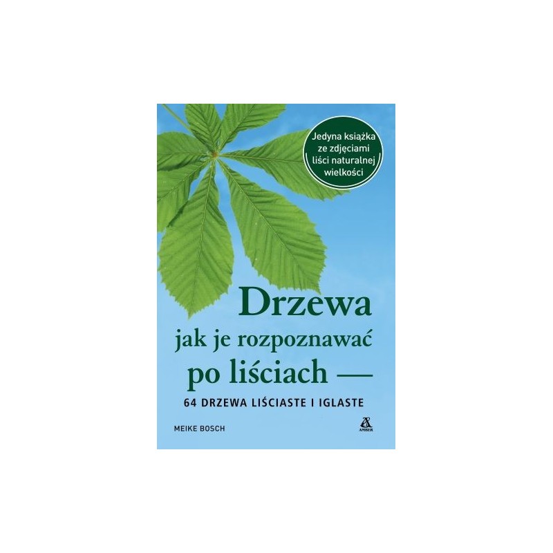 DRZEWA - JAK JE ROZPOZNAWAĆ PO LIŚCIACH