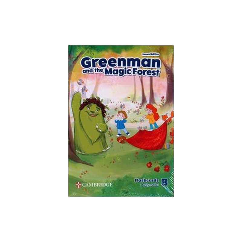 GREENMAN AND THE MAGIC FOREST LEVEL B FLASHCARDS