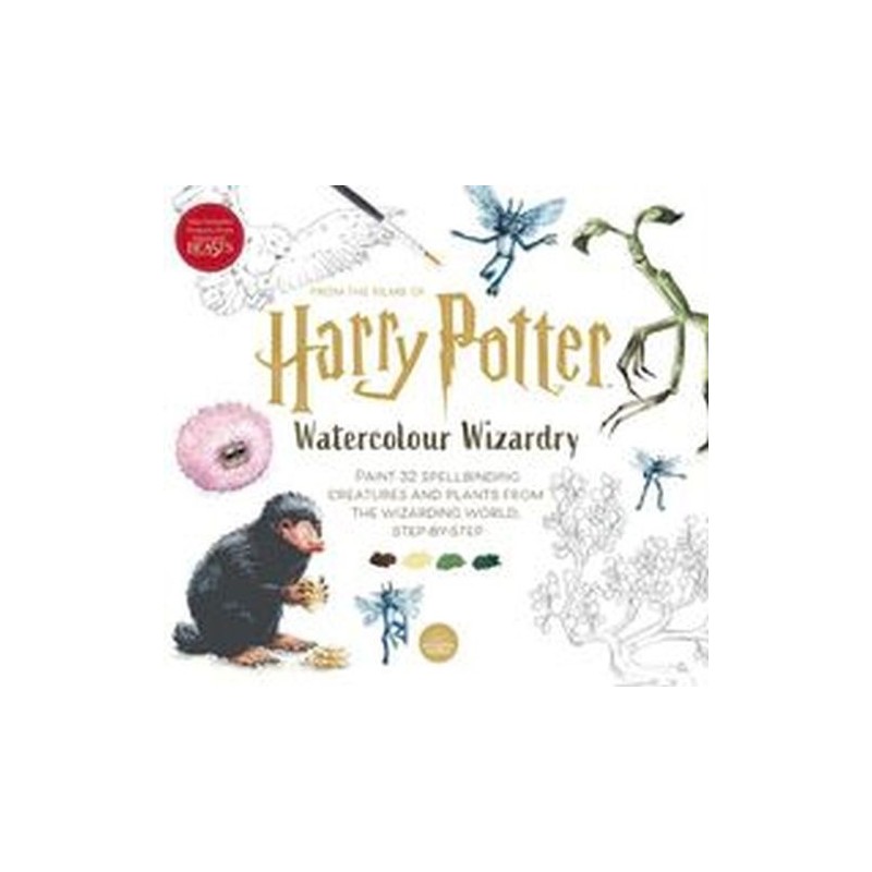 HARRY POTTER WATERCOLOUR WIZARDRY