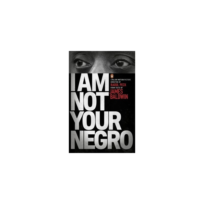 I AM NOT YOUR NEGRO