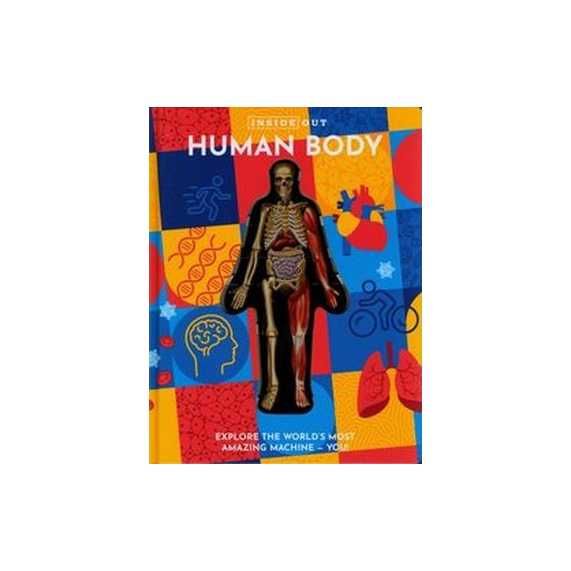 INSIDE OUT HUMAN BODY