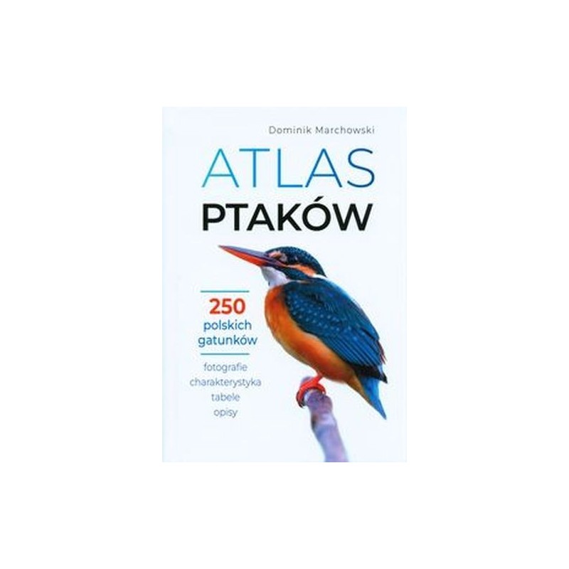 ATLAS PTAKÓW