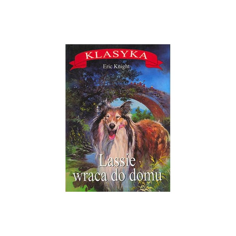 LASSIE WRACA DO DOMU