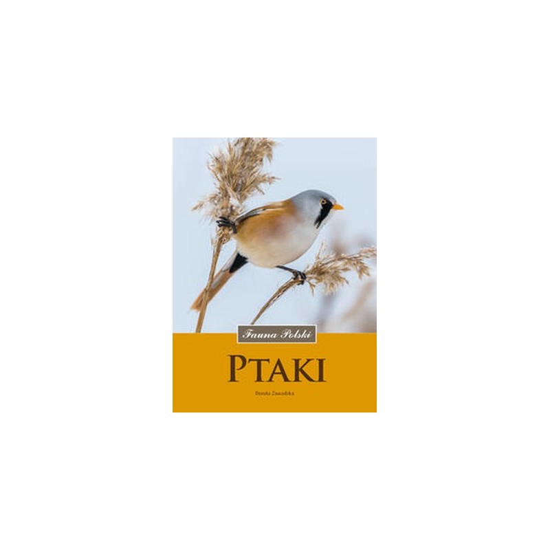 PTAKI FAUNA POLSKI