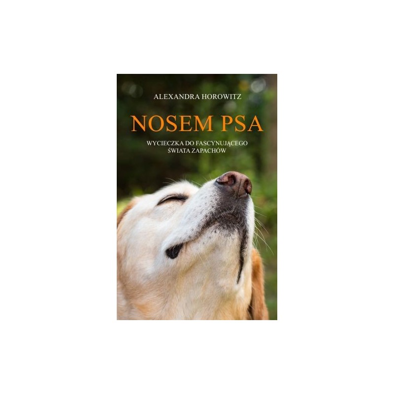 NOSEM PSA