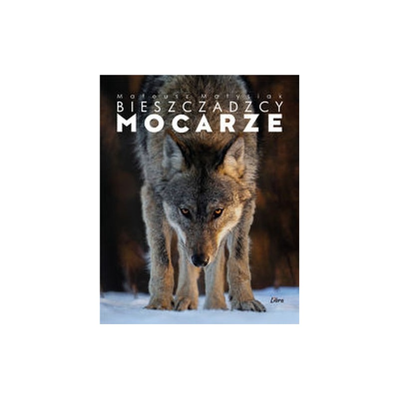 BIESZCZADZCY MOCARZE