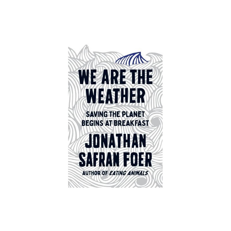 WE ARE THE WEATHER