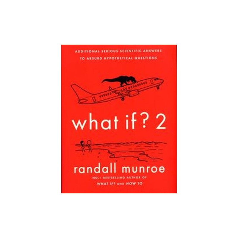 WHAT IF? 2