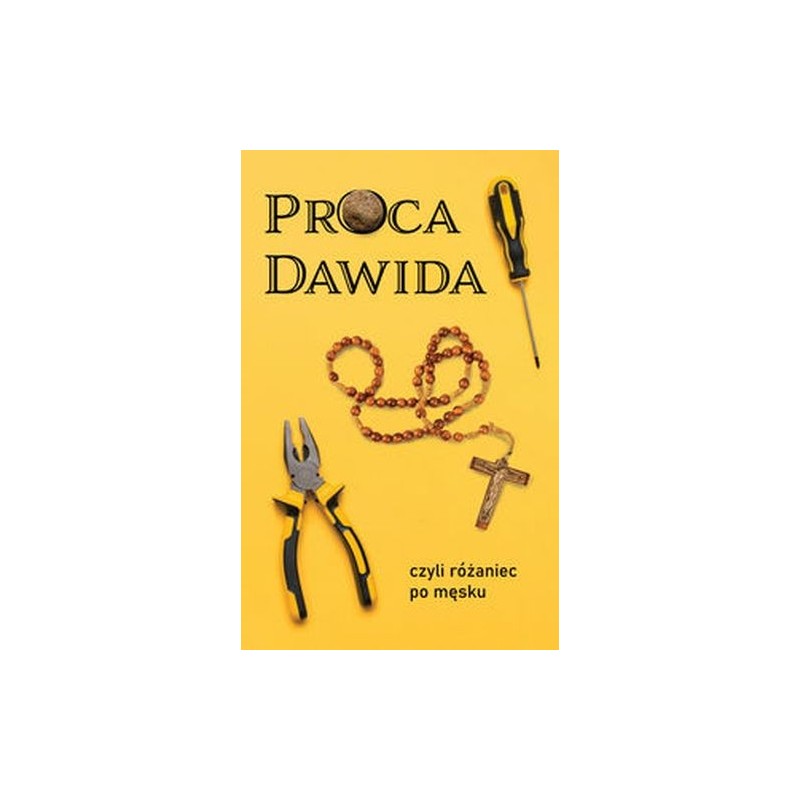 PROCA DAWIDA