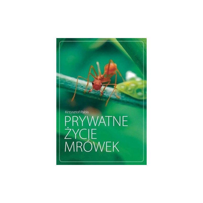 PRYWATNE ŻYCIE MRÓWEK