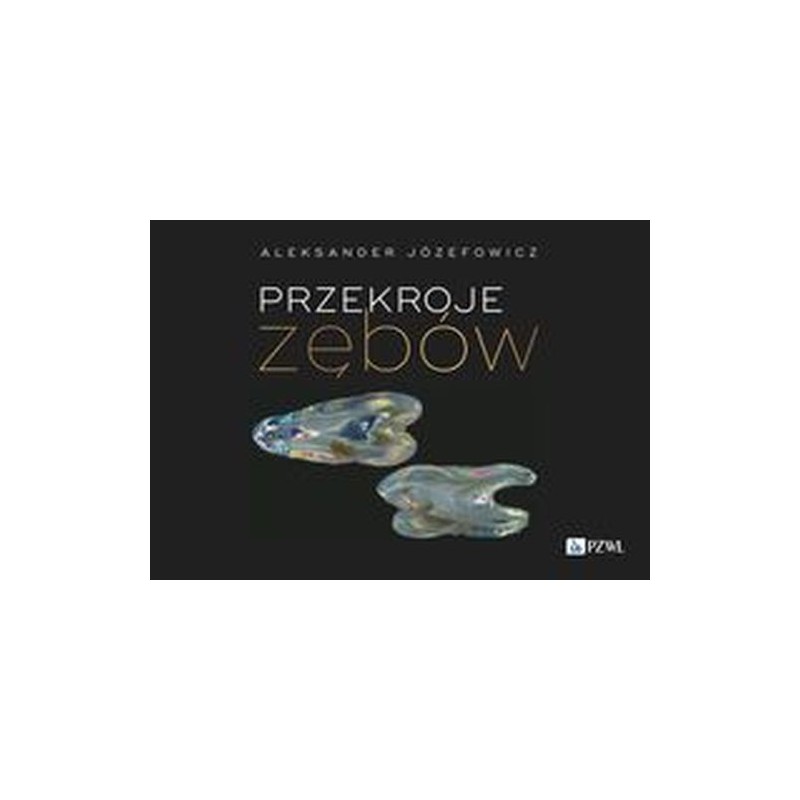 PRZEKROJE ZĘBÓW