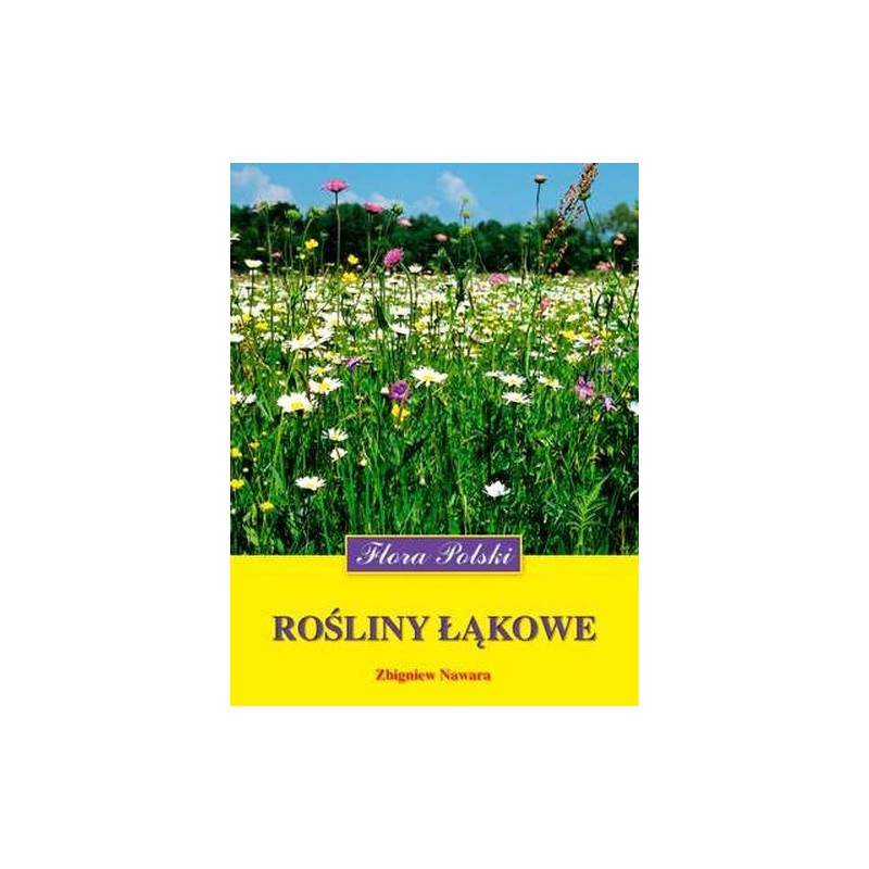 ROŚLINY ŁĄKOWE FLORA POLSKI