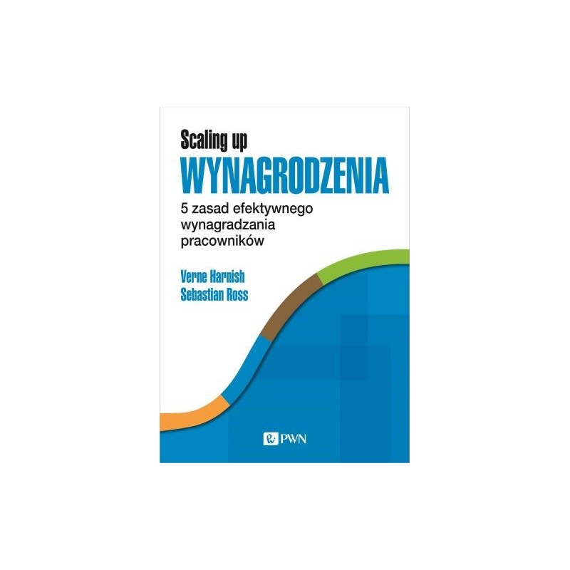 SCALING UP WYNAGRODZENIA