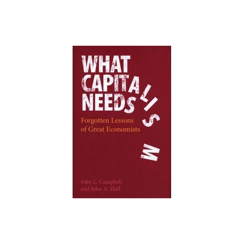 WHAT CAPITALISM NEEDS