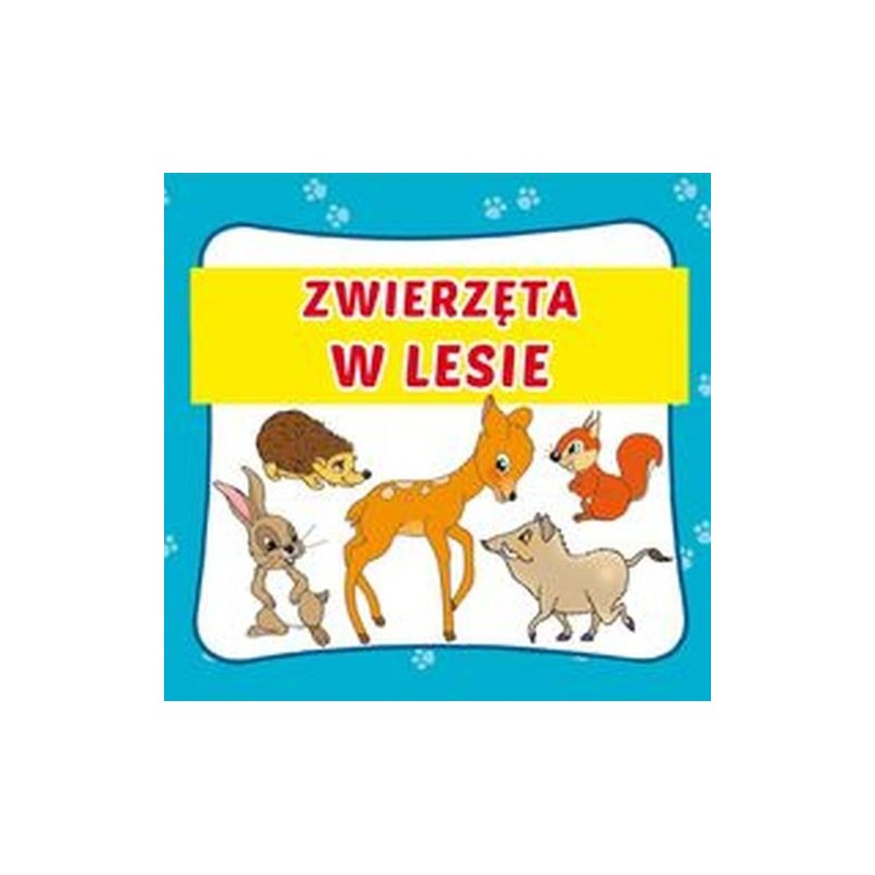 ZWIERZĘTA W LESIE