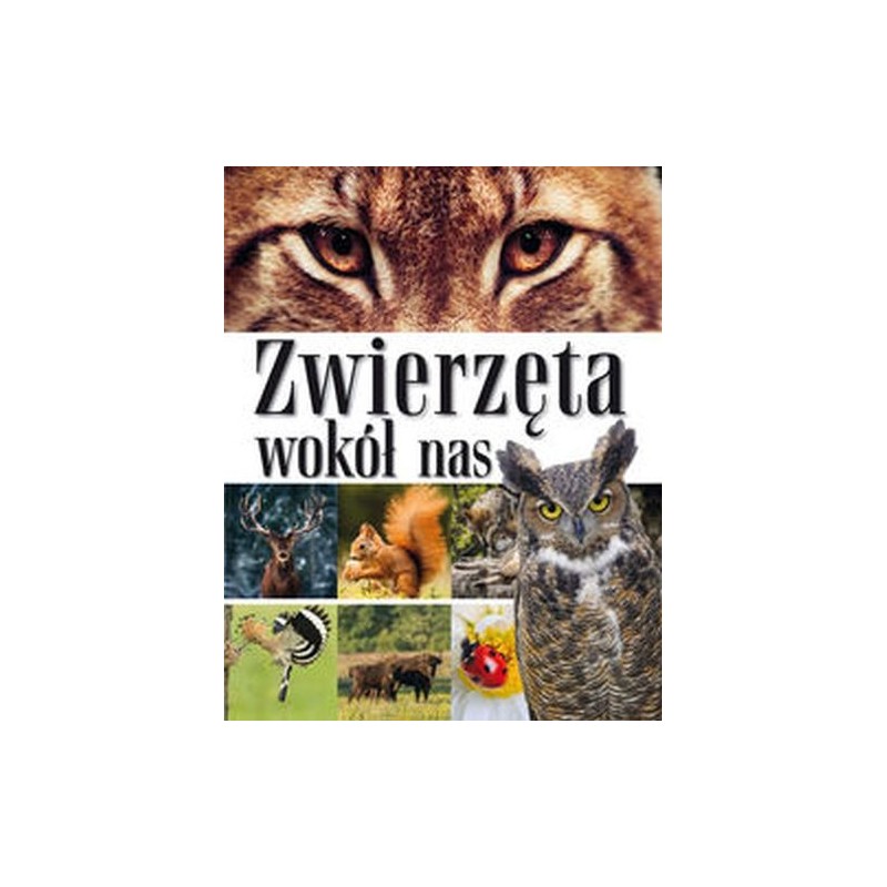 ZWIERZĘTA WOKÓŁ NAS