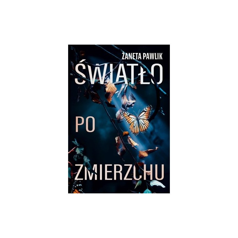 ŚWIATŁO PO ZMIERZCHU