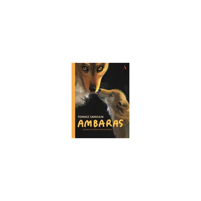 AMBARAS