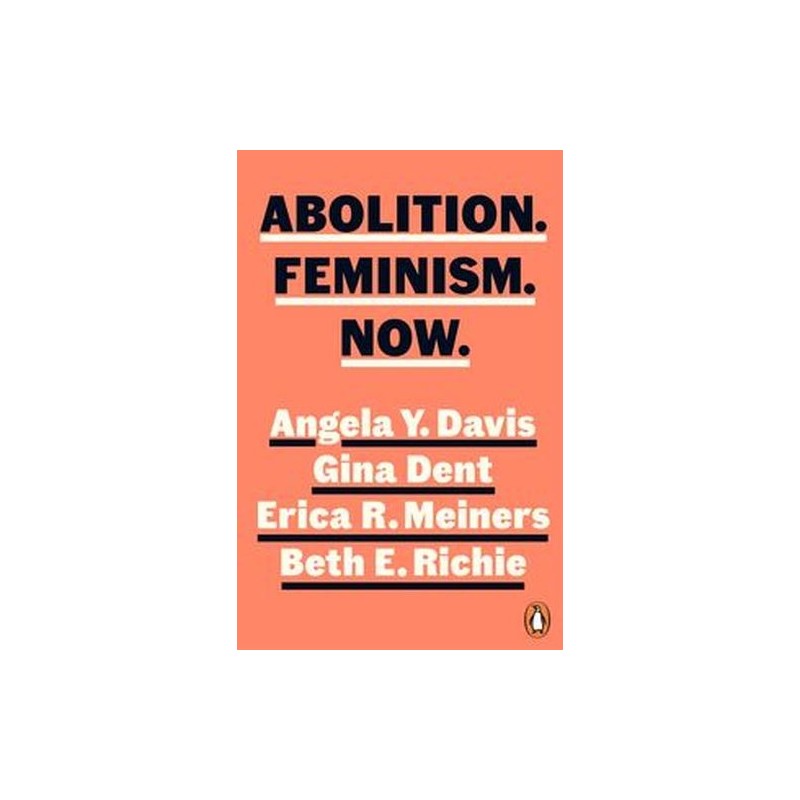 ABOLITION FEMINISM NOW