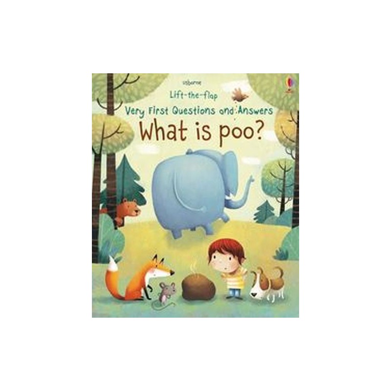 WHAT IS POO?