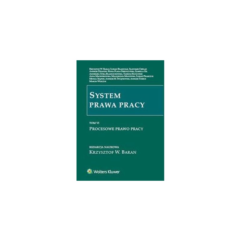 SYSTEM PRAWA PRACY TOM 6