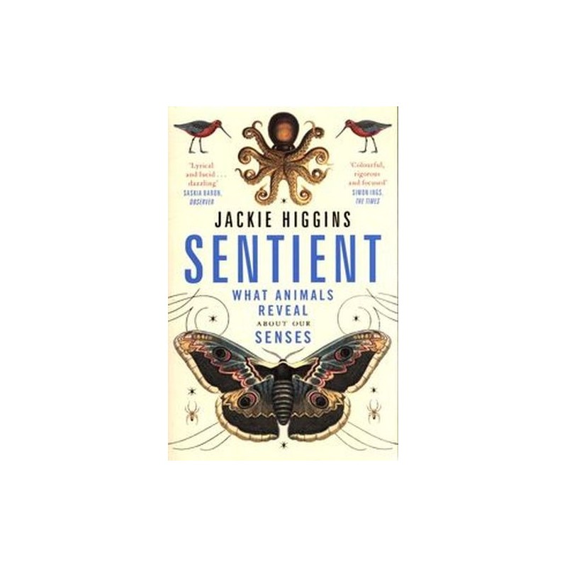 SENTIENT WHAT ANIMALS REVEAL ABOUT OUR SENSES