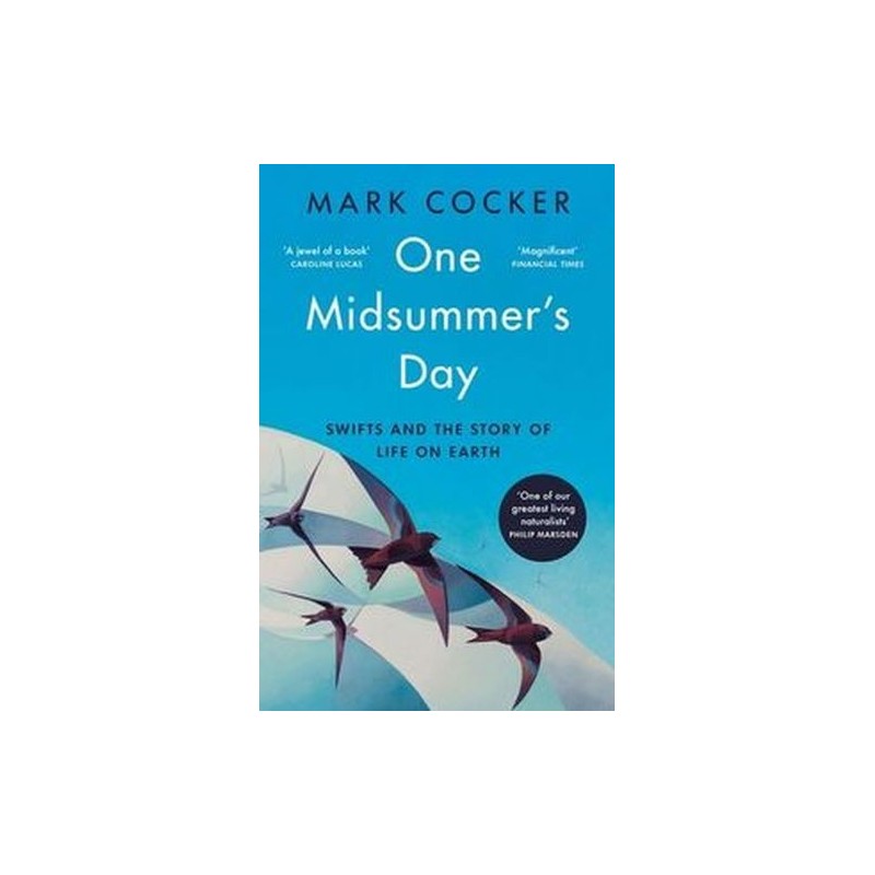 ONE MIDSUMMERS DAY