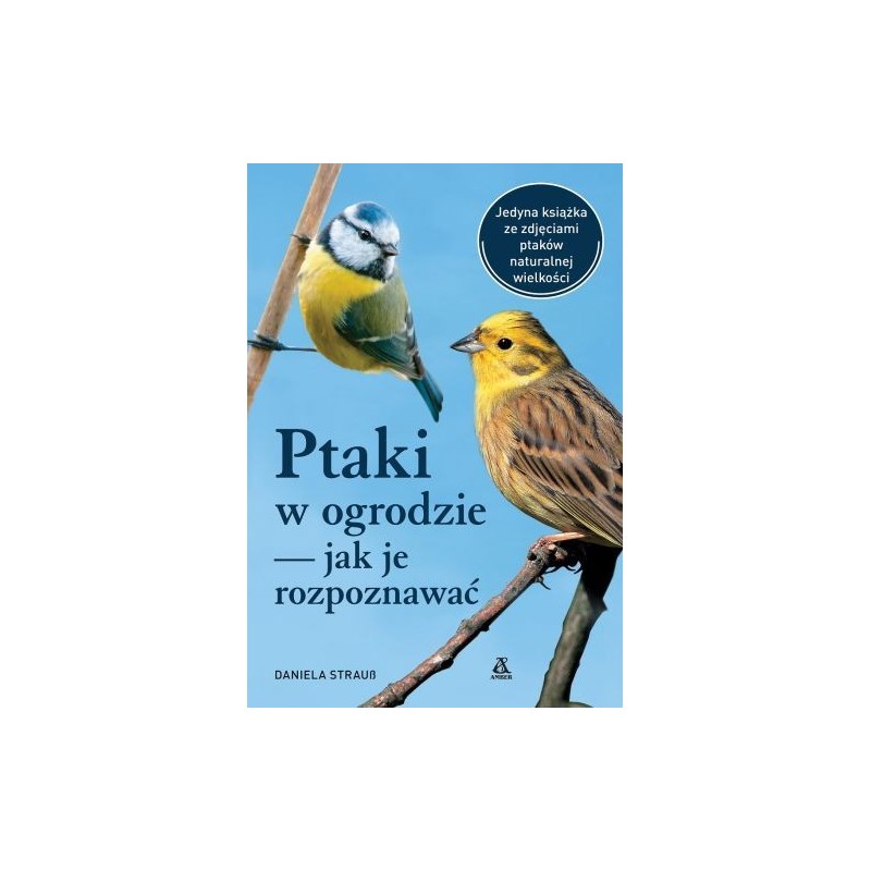 PTAKI W OGRODZIE - JAK JE ROZPOZNAWAĆ