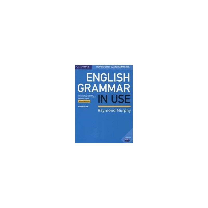 ENGLISH GRAMMAR IN USE BOOK WITHOUT ANSWERS