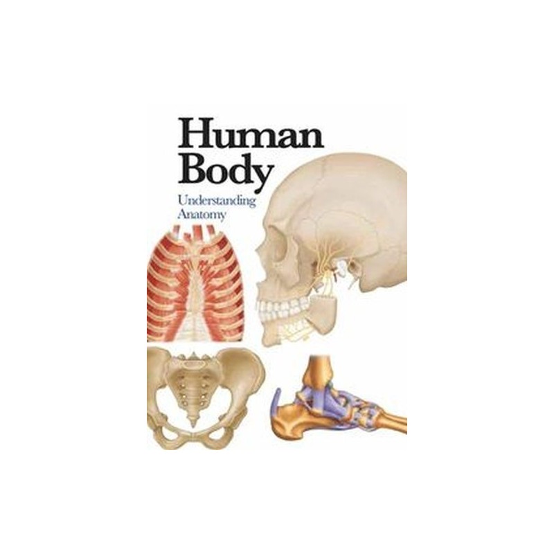 HUMAN BODY