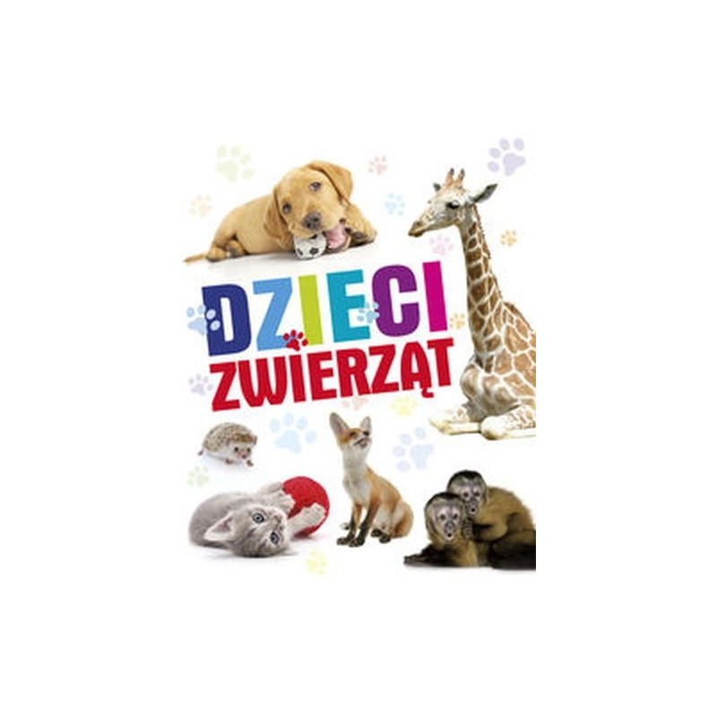 DZIECI ZWIERZĄT