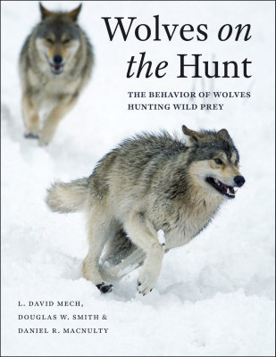 WOLVES ON THE HUNT –: THE BEHAVIOR OF WOLVES HUNTING WILD PREY - David Mech L.