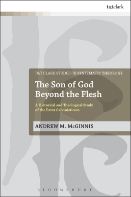 THE SON OF GOD BEYOND THE FLESH - M. Mcginnis Andrew