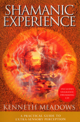 SHAMANIC EXPERIENCE - Meadows Kenneth