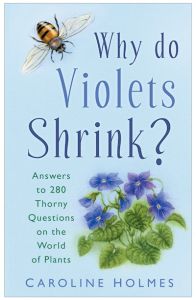 WHY DO VIOLETS SHRINK? - Holmes Caroline