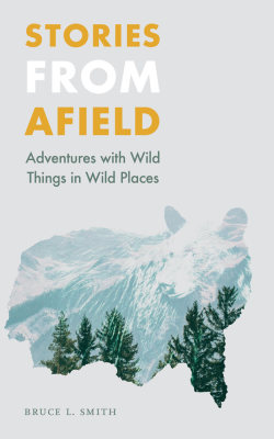 STORIES FROM AFIELD - L. Smith Bruce