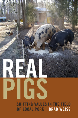 REAL PIGS - Weiss Brad