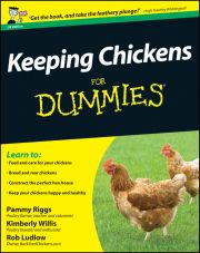 KEEPING CHICKENS FOR DUMMIES - Riggs Pammy