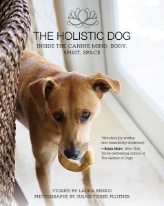 THE HOLISTIC DOG - Benko Laura