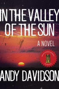 IN THE VALLEY OF THE SUN - Davidson Andy
